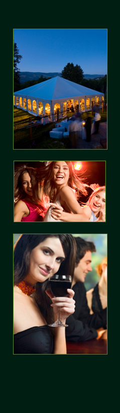 party, entertainment, private parties